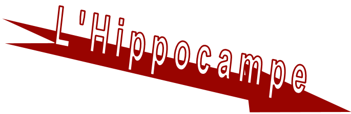 Lien vers photos de l'Hippocampe